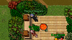 Mein Fhurer on screen