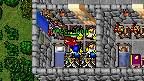 Wee-Mann on screen