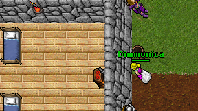 Dimmonica on screen