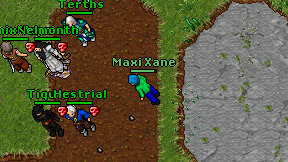 Maxi Xane on screen