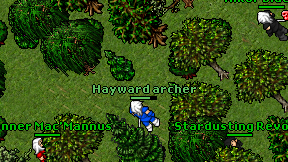 Hayward archer on screen