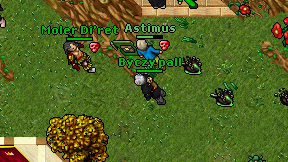 Byczy pall on screen