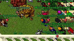 Dobnexx on screen