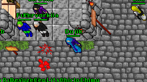 Dujik on screen