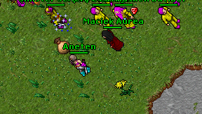 Aneten on screen