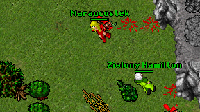 Maraucostek on screen