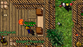 Scalix on screen