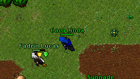 Caca Linda on screen