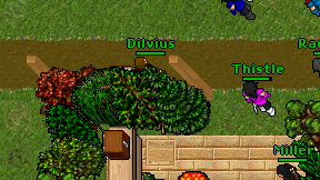 Dilvius on screen