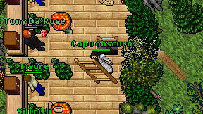 Capu obscuro on screen