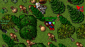 Matizor on screen