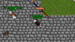 Albinn on screen