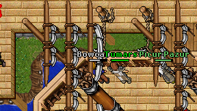 Bowcaper on screen