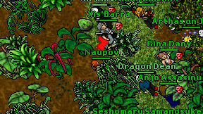 Naupov on screen