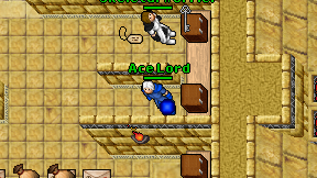 Ace Lord on screen