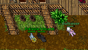 Bulbasor on screen