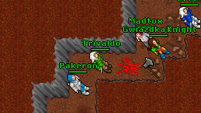 Trivaldo on screen