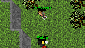 Javuzepe on screen