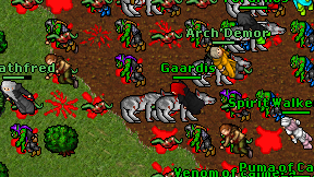 Gaardis on screen
