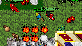 Xavelo on screen