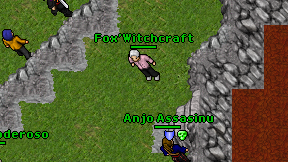 Fox'Witchcraft on screen