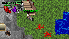 Whommer on screen