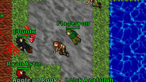 Fladelyon on screen