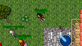 Ebniga on screen