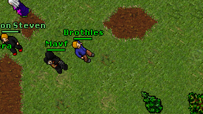 Brothles on screen