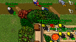 Nektaryn on screen