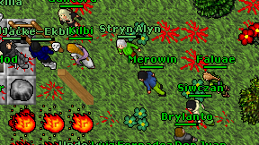 Merowin on screen