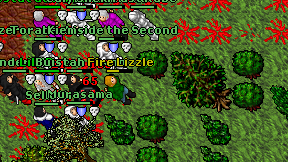 Fire Lizzle on screen