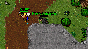 Pervo arska on screen