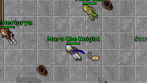 Maro the Knight on screen