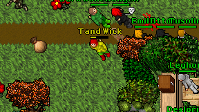 Tand Wick on screen