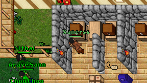 Xanerss on screen
