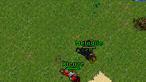 Xlenze on screen