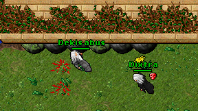 Dekis abus on screen