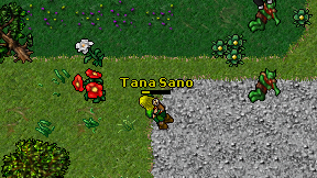 Tana Sano on screen