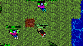 Laamaj on screen