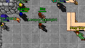 Leopard knight on screen