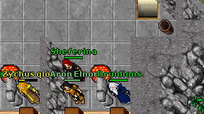 Druidions on screen