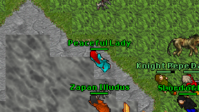 Peaceful Lady on screen