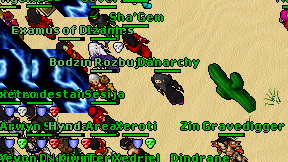 Danarchy on screen