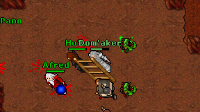 Dom'aker on screen