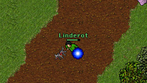 Linderot on screen