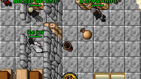 Rejzi on screen