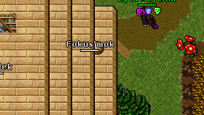 Fokus'mok on screen