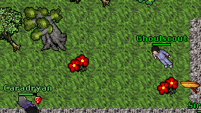 Ghoulscout on screen