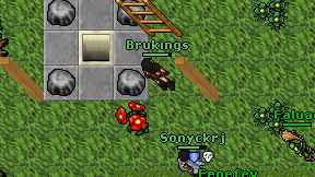 Brukings on screen